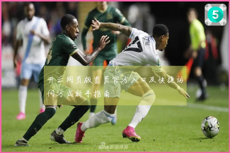开云网页版首页官方入口及快捷访问方式新手指南