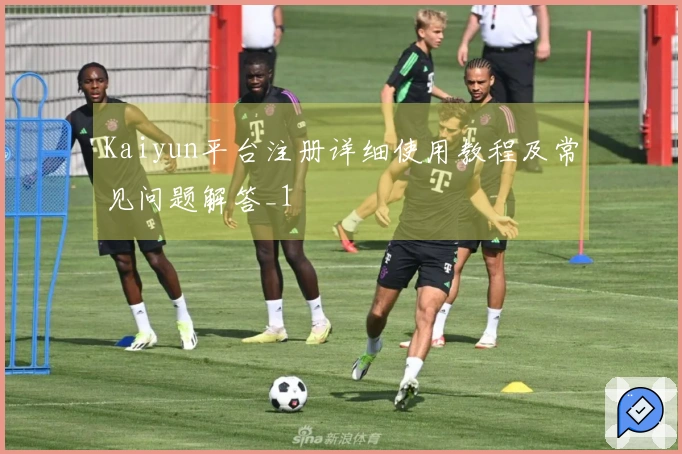 Kaiyun平台注册详细使用教程及常见问题解答_1